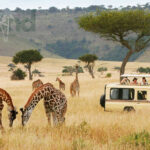 Best African Countries to Visit